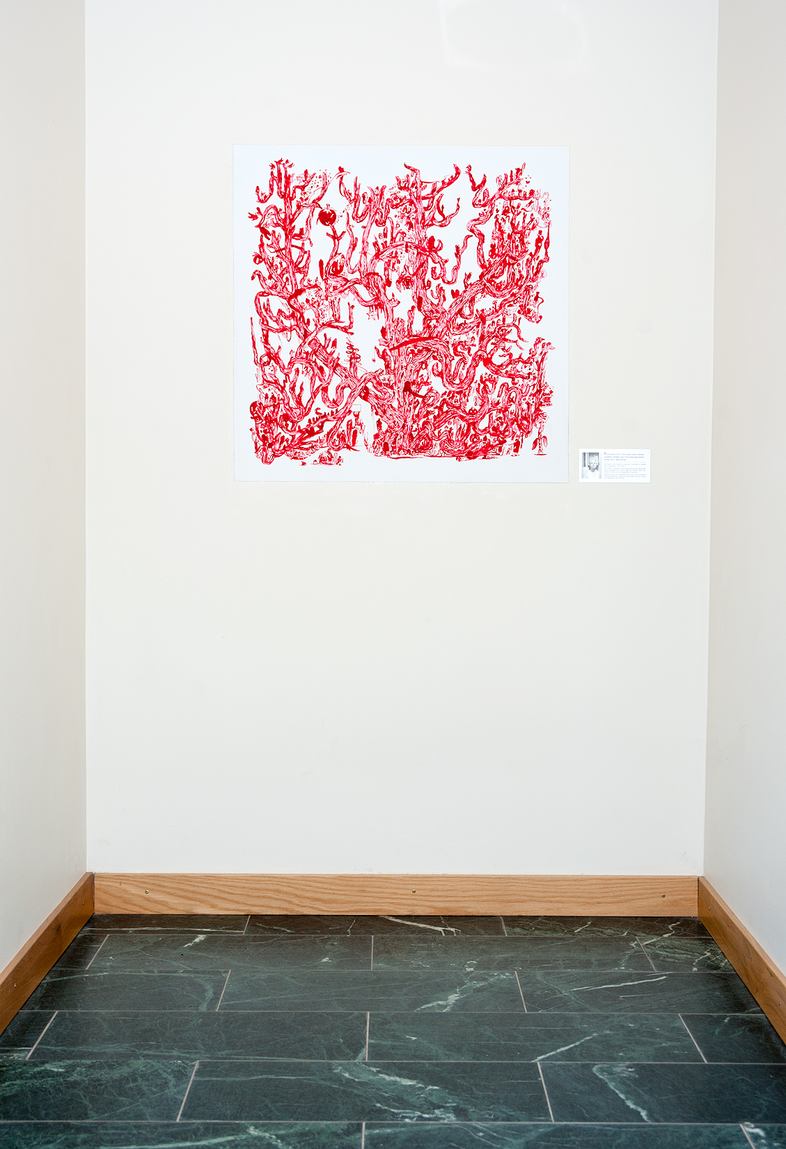 Peter Köhler - Corals
